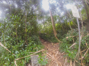 Nakoa trail