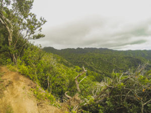 Waahila Ridge Trail