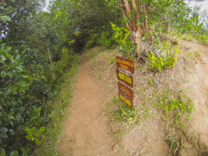 Waahila Ridge Trail