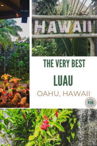 Here's a guide for the best Luau on Oahu to help you narrow down the choices and plan your own day out.