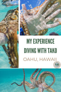 Sharing my experience and what it was like to go diving with tako in Hawaii. It's an octo-adventure that I'll never forget.