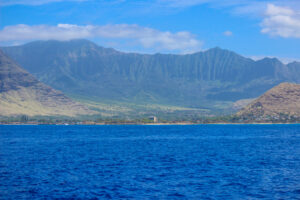 Swim with dolphins on Oahu