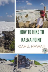 A practical guide on how to hike the Kaena Point trail from the North Shore end. It's the perfect trail for beginners and animal lovers.