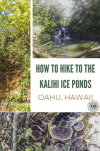 The Kalihi Ice Ponds is a gorgeous waterfall hidden away in Honolulu, Hawaii. Unfortunately it has now been closed and you can no longer hike to it.