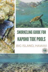 Here's a practical travel guide to help you plan a Kapoho Tide Pools snorkeling adventure during your trip to the Big Island of Hawaii.