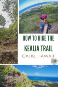 Here's a practical guide with everything you need to know about how to hike the Kealia Trail on the North Shore of Oahu, Hawaii.