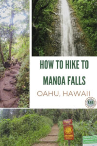 The Manoa Falls hike is one of the most convenient waterfalls on Oahu and the easy trail is suitable for everyone. Here's a guide to help plan your visit.