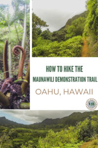 A practical guide for the 15km Maunawili Demonstration Trail. This long hike is a hidden gem in nature through a gorgeous jungle setting.