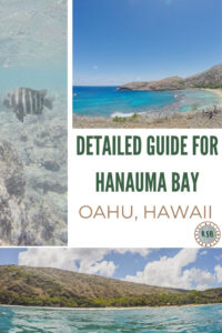 Here is a practical guide to help you plan an adventure to go snorkeling at Hanauma Bay, one of the most popular snorkeling areas on the island.