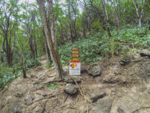 Kuliouou Ridge Trail