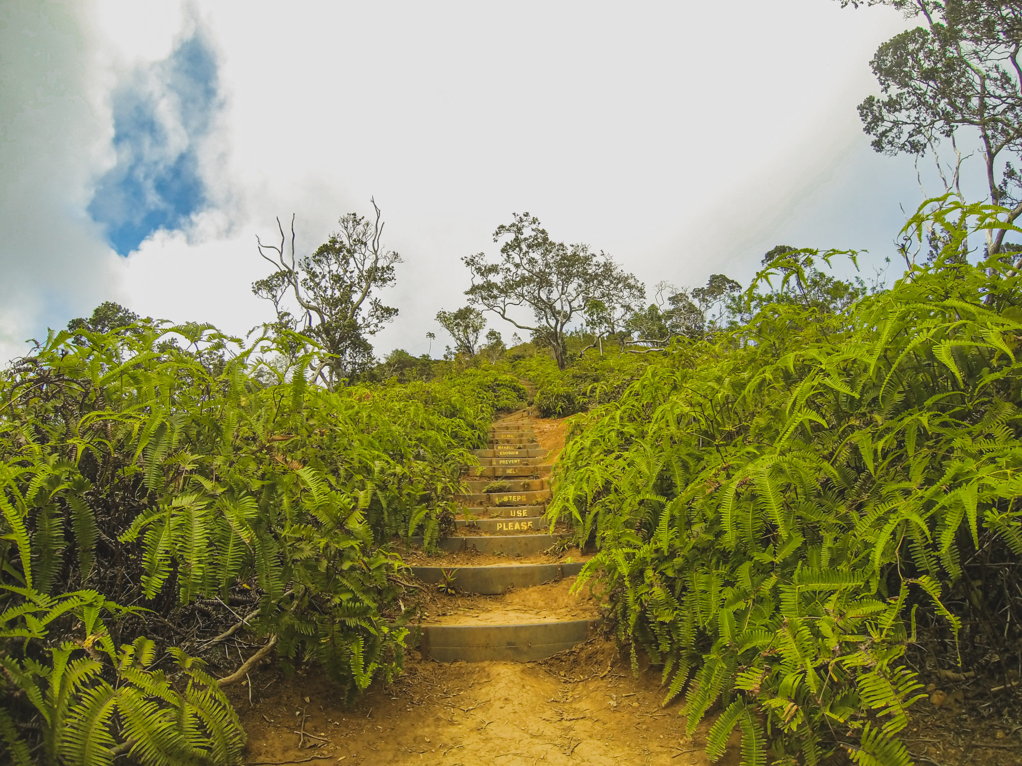 Everything You Need To Know To Hike The Kuliouou Ridge Trail