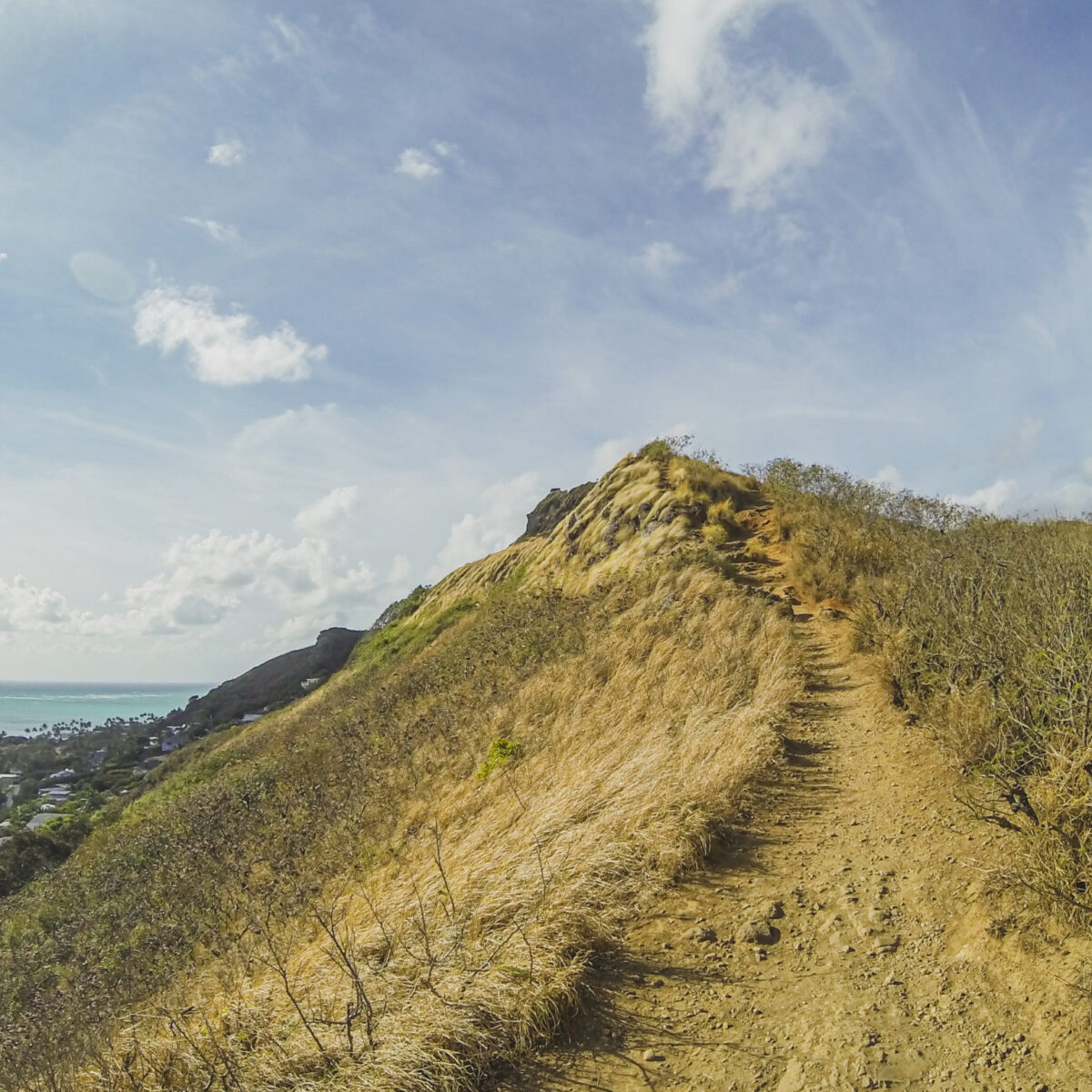 Lanikai pillbox trail