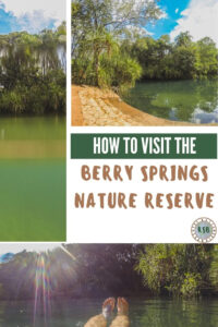 A practical guide to help you plan a visit to the Berry Springs Nature Reserve, a natural and safe swimming hole in the outback.