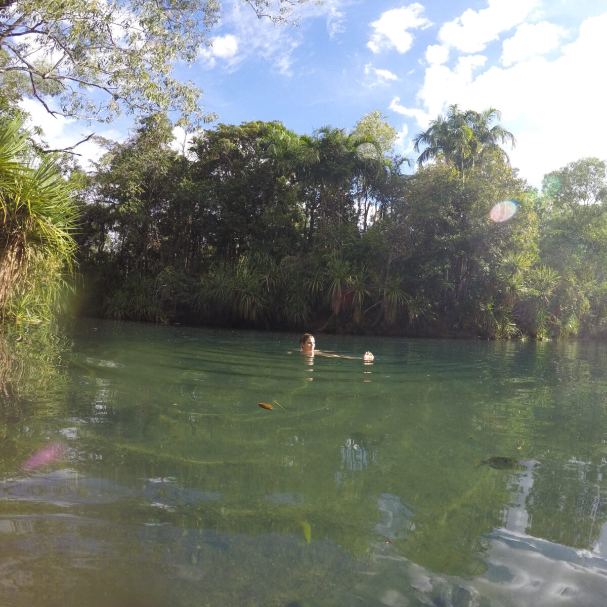 Berry Springs Nature Reserve