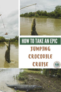 Here's a complete guide on how to do an Adelaide River Jumping Crocodile Cruise from Darwin with everything you need to know for an epic day.