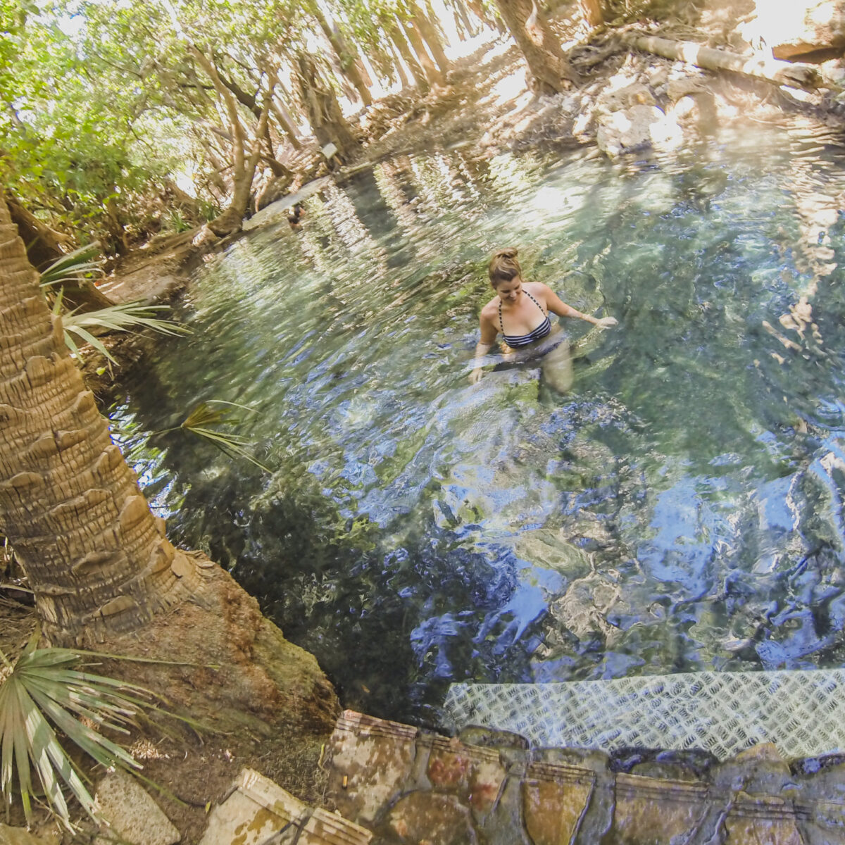 Mataranka Thermal Pool