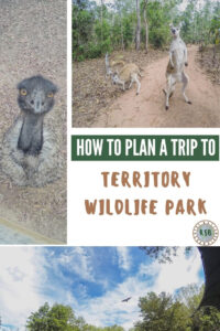 Here's a complete guide on how to visit the Territory Wildlife Park from Darwin, what animals to expect, and what to do there.