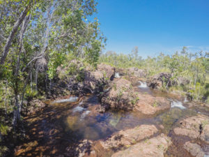 day trip to Litchfield National Park