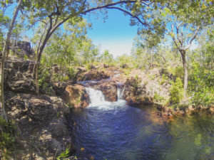 day trip to Litchfield National Park