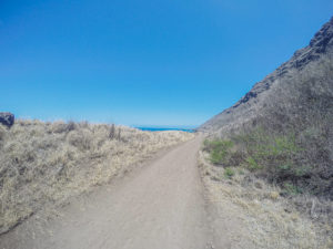 Kaena Point Trail