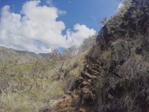 Kamiloiki Ridge Trail