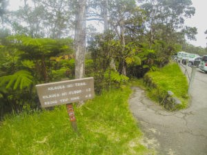 How to plan a day trip to Volcanoes National Park