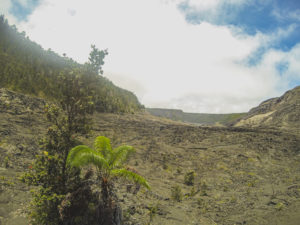 How to plan a day trip to Volcanoes National Park