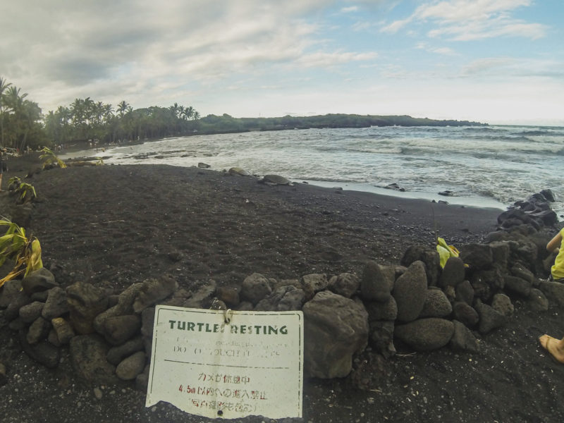 How To Visit The Punaluu Black Sand Beach On The Big Island