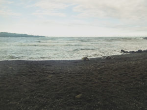 Punaluu beach