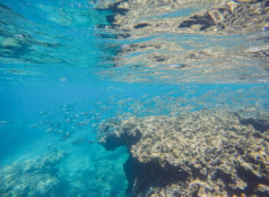 Snorkeling at Three Tables