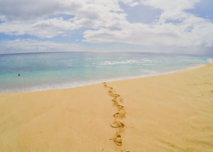 Best beaches on Oahu