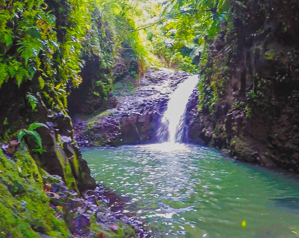 Maunawili Falls trail
