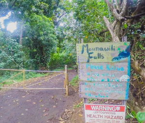 Maunawili Falls trail