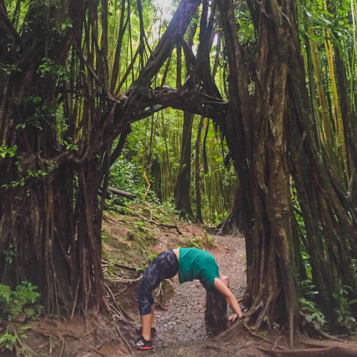 Manoa Falls hike