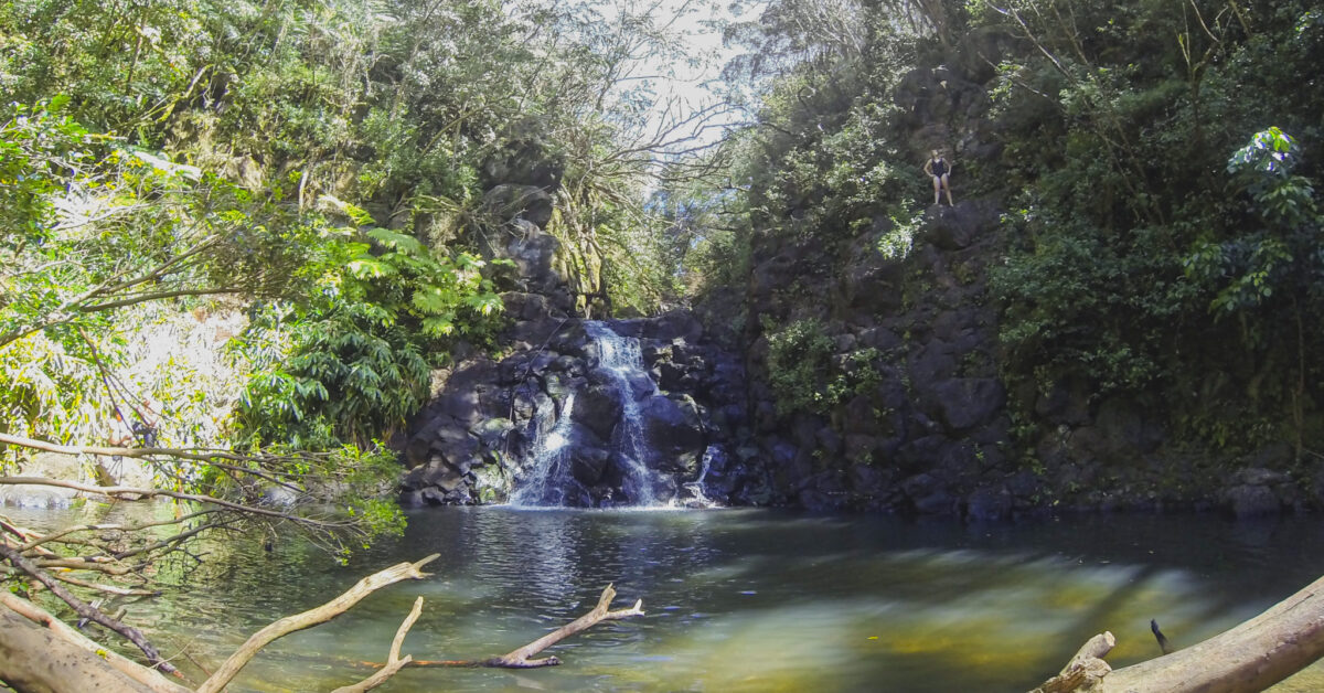 The 12 Best Waterfall Hikes On Oahu For All Skill Levels