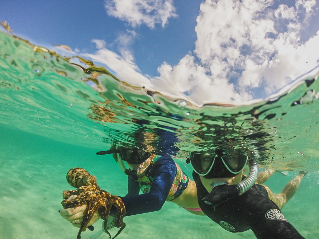 Diving With Tako In Hawaii - My Octo-Adventure Experience