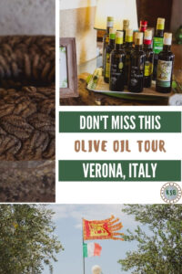 If you're looking for a unique, off the beaten path experience, here's how to tour an olive oil factory in Italy and what to expect there.