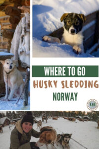Husky sledding in Norway is an incredible experience. Here's where to go for an off the beaten path adventure and unique, handmade log cabin accommodation.