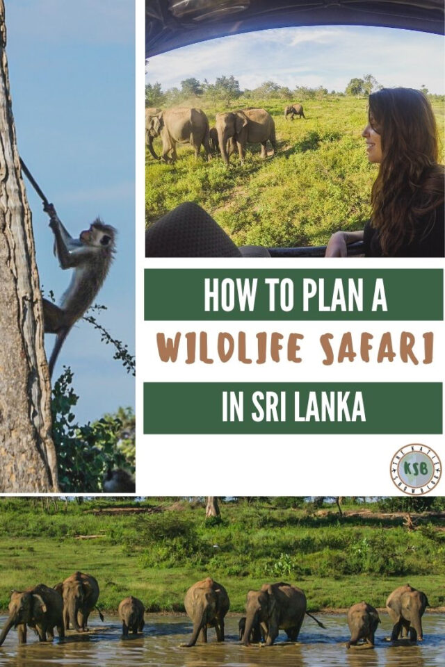 Wildlife Safari In Sri Lanka - Where To Go And Photos To Inspire You