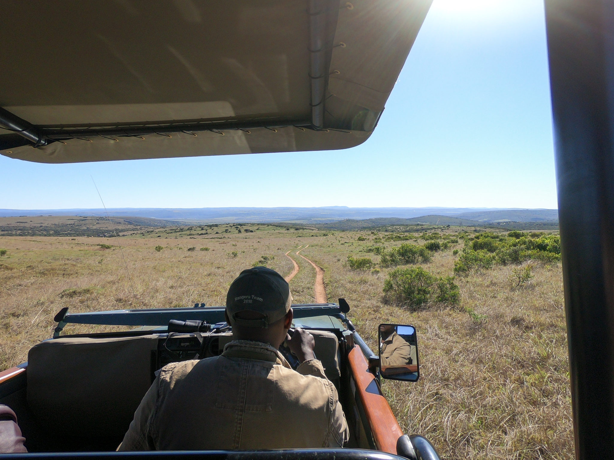 Amakhala Game Reserve - Where Your African Safari Dreams Come True