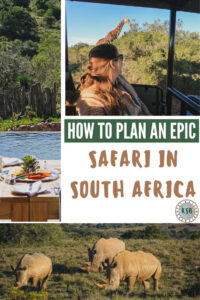 Want to live out your Lion King safar dreams? Make it happen with this complete guide to help you plan your visit to Bukela Game Lodge.