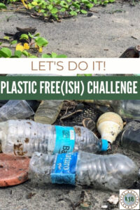 Sharing the plastic free challenge I'm working on with a free printable to plan your own, items I will replace, and recommendations for alternatives.