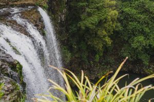 How to spend a weekend in Whangarei