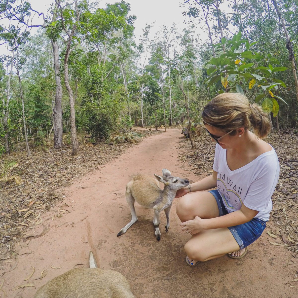 A Guide To Visiting The Territory Wildlife Park From Darwin, Australia