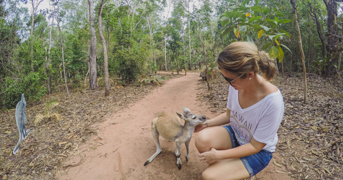 A Guide To Visiting The Territory Wildlife Park From Darwin, Australia