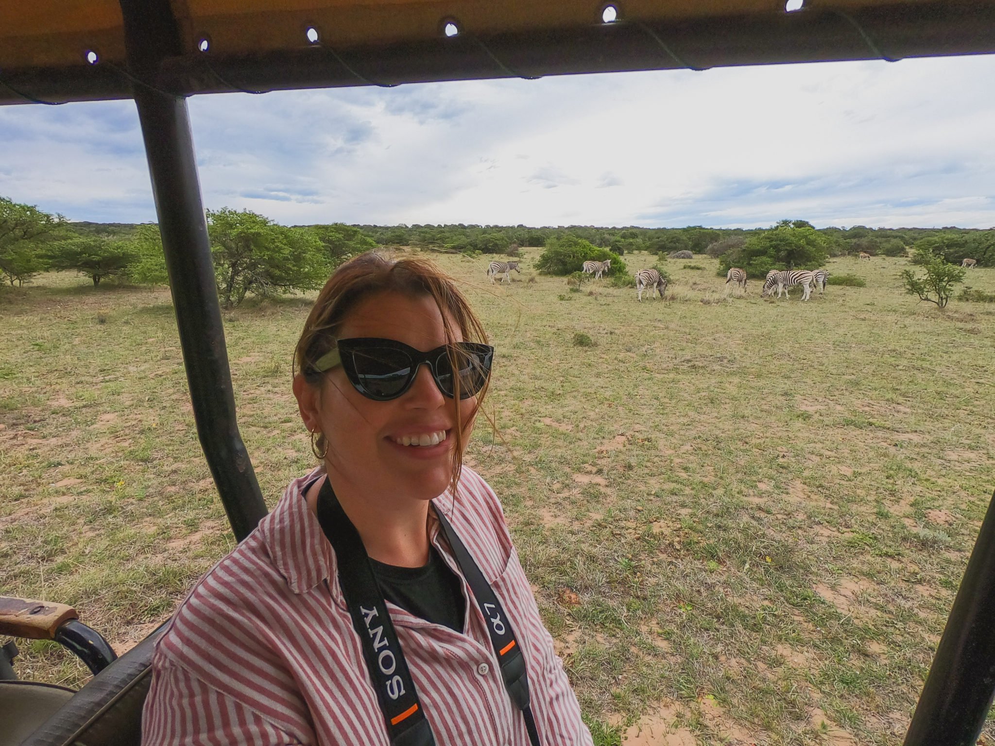10 Things To Expect On A Game Drive - First Timers Guide