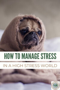 How to manage stress in a high stress world. This is a must read, in depth guide for all of us who are dealing with stressful situations.