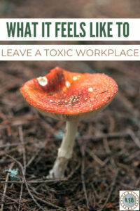 My story of leaving my toxic workplace. If you have been in one I am sure you can relate and I hope this inspires you to go for what you deserve too!