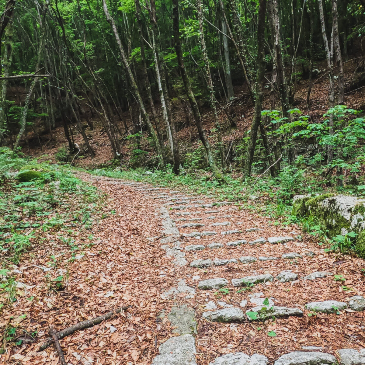 4444 Steps In Asiago