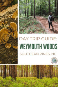 An easy day trip near Fort Bragg if you want some outdoor time. Here's a guide with what you need to know to go hiking in Weymouth Woods.